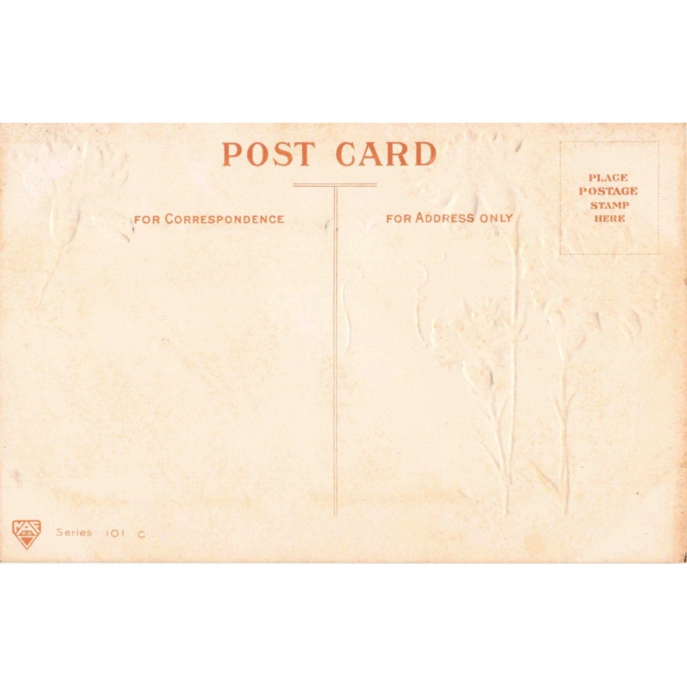 Vintage NAS Co Series 101 C Embossed Birthday Postcard Pink Red Carnations VG - Picture 2 of 2
